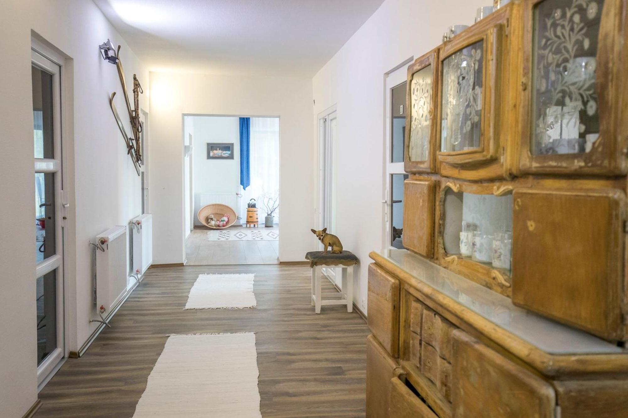 Villa Vamus Vendeg- Es Rendezvenyhaz Vámosszabadi Екстериор снимка