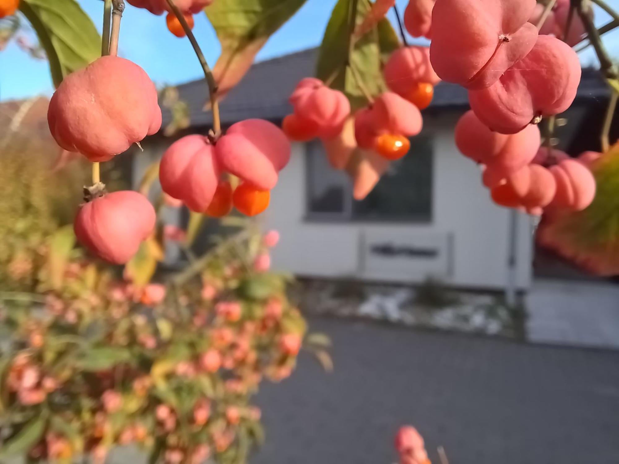 Villa Vamus Vendeg- Es Rendezvenyhaz Vámosszabadi Екстериор снимка